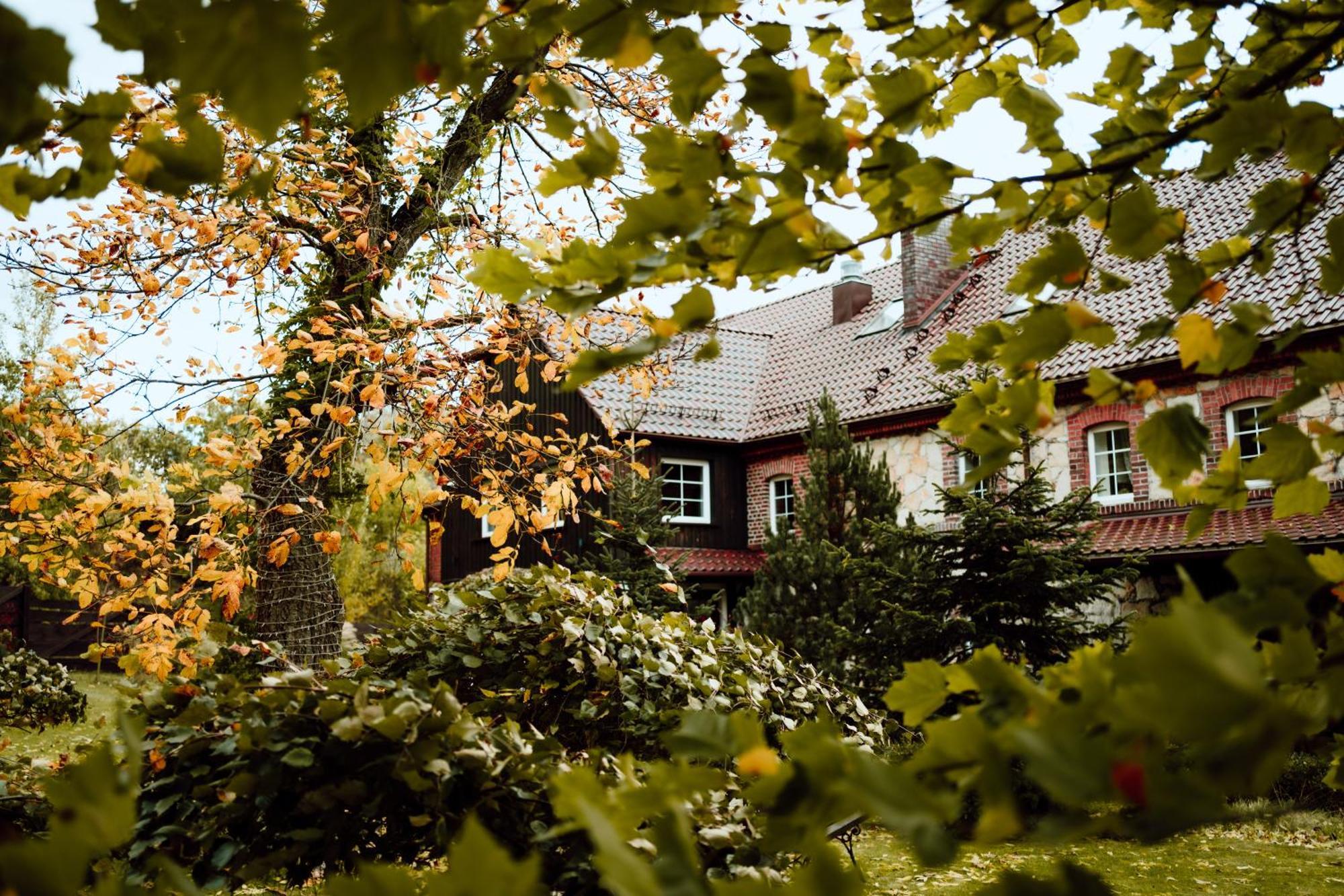 Na Uboczu Villa Gryfow Slaski Exterior photo